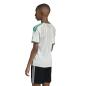 Preview: Algeria Children WC Jersey - 2026-27