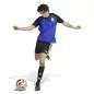 Preview: Argentinien Prematch Shirt - 2026-27