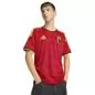 Preview: Belgium Jersey WC - 2026-27