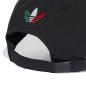Preview: Mexico Dad Cap - 2026-27
