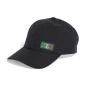 Preview: Mexico Dad Cap - 2026-27