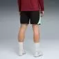 Preview: Puma SFV Training Shorts w pockets - puma black