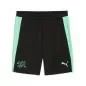 Preview: Puma SFV Training Shorts w pockets - puma black
