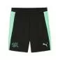 Preview: Puma SFV Training Shorts w pockets - puma black