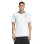 Preview: Saudi Arabia Away Jersey WC - 2026-27