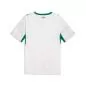 Preview: Senegal Jersey WC - 2026-27