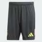 Preview: Germany Goalkeeper EC Shorts - 2024-25