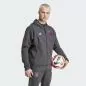Preview: Germany DFB Travel Hooded Jacket - 2024-25