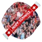 Preview: Hopp Schwiiz Fan Schal (Strickoptik)