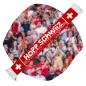 Preview: Hopp Schwiiz Fan Schal (Strickoptik)