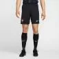 Preview: Portugal Away EC Shorts - 2024-25