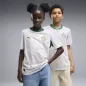 Preview: Puma FSF Home Jersey Replica Jr - puma white