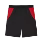 Preview: Puma FB Shorts Replica - puma black