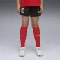 Preview: Puma FB Shorts Replica Jr - puma black
