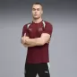 Preview: Puma SFV Training Jersey - team regal red