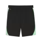 Preview: Puma SFV Training Shorts w pockets - puma black