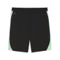 Preview: Puma SFV Training Shorts w pockets - puma black