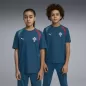 Preview: Puma FPF Training Jersey Jr - ocean tropic