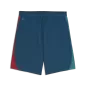 Preview: Puma FPF Training Shorts w pockets - ocean tropic