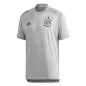 Preview: Spain Training Jersey - 2020-21 - grey