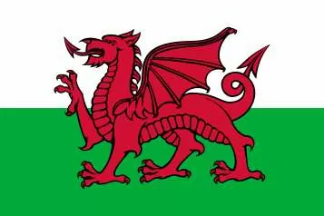 Fahne Wales