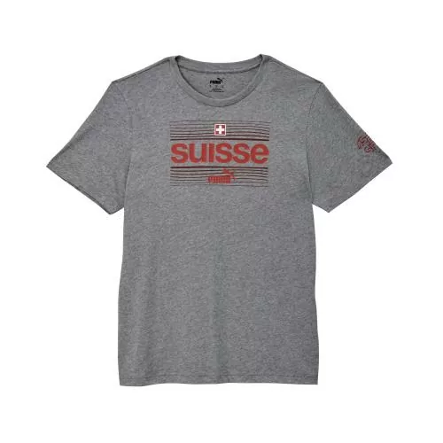 Suisse Ftblicons Tee gray - 2024-25