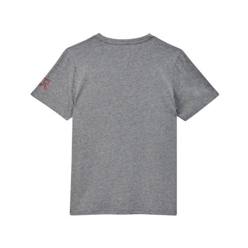 Preview: Suisse Ftblicons Tee gray - 2024-25