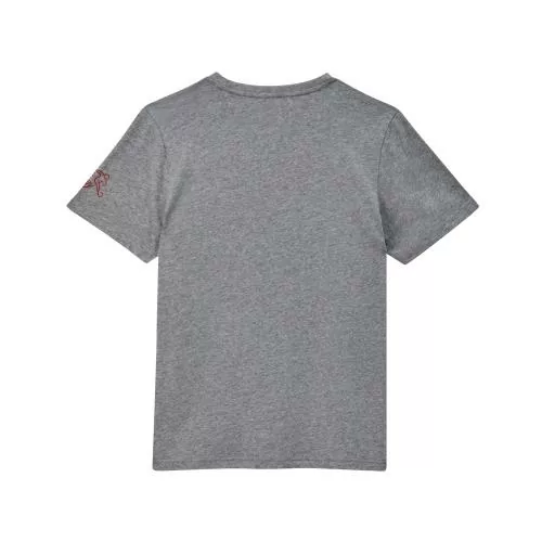 Suisse Ftblicons Tee gray - 2024-25