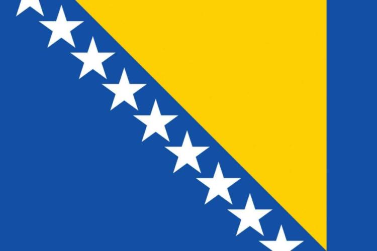 Flag of Bosnia
