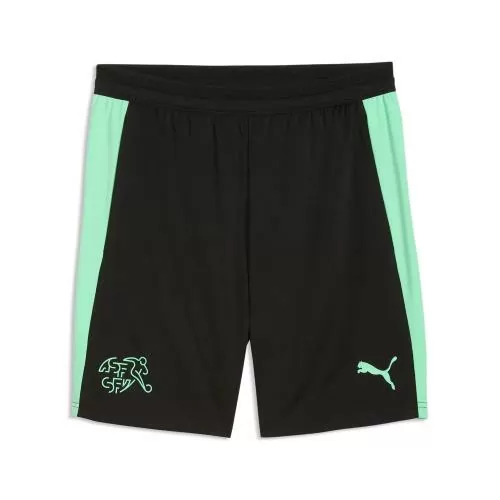 Puma SFV Training Shorts w pockets - puma black