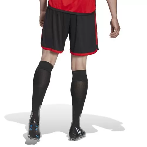 Belgium WC Shorts - 2022-23