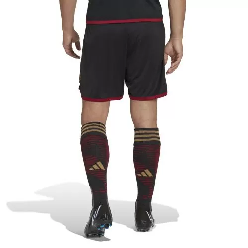 Germany Away WC Shorts - 2022-23