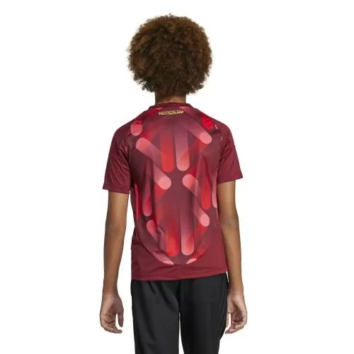 Germany Away Children Jersey for the Women's EC - 2025