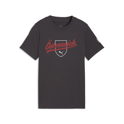 Preview: Puma ÖFB FtblCulture Tee Jr - flat dark gray