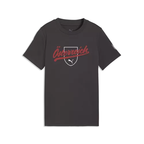 Puma FB FtblCulture Tee Jr - flat dark gray