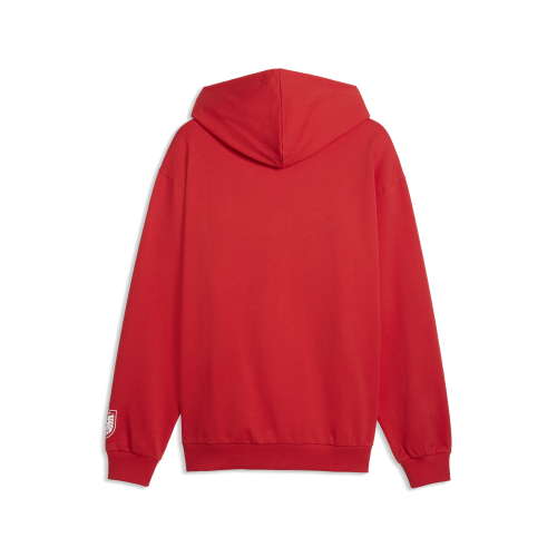 Preview: Puma FB ftblCulture Relaxed Hoodie - burnt red