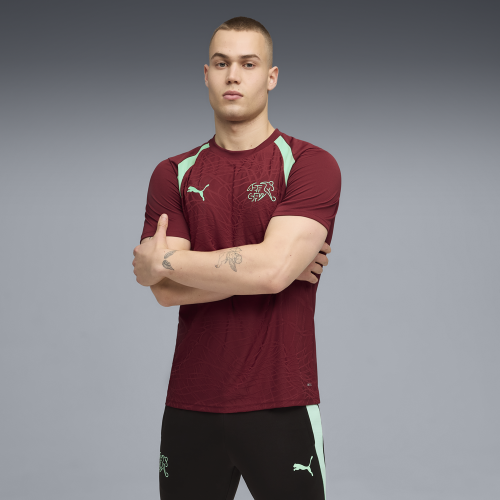 Preview: Puma SFV Training Jersey - team regal red