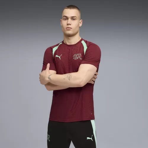 Puma SFV Training Jersey - team regal red
