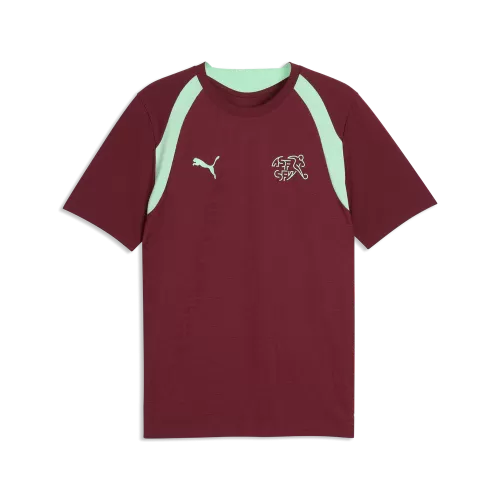 Puma SFV Training Jersey - team regal red