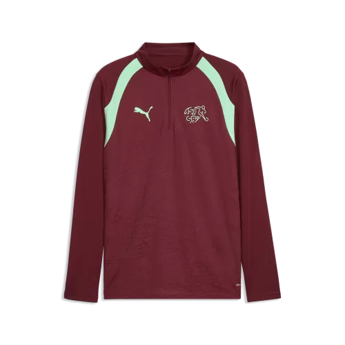 Puma SFV Training 1/4 Zip Top - team regal red