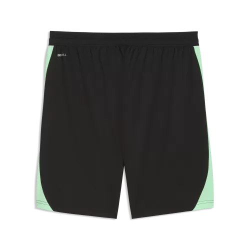 Puma SFV Training Shorts w pockets - puma black