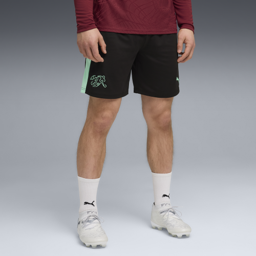 Preview: Puma SFV Training Shorts w pockets - puma black