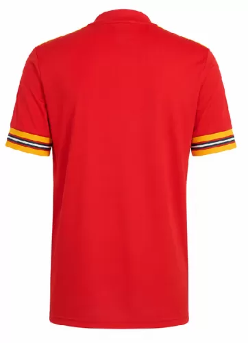 Wales EM Trikot 2020-21