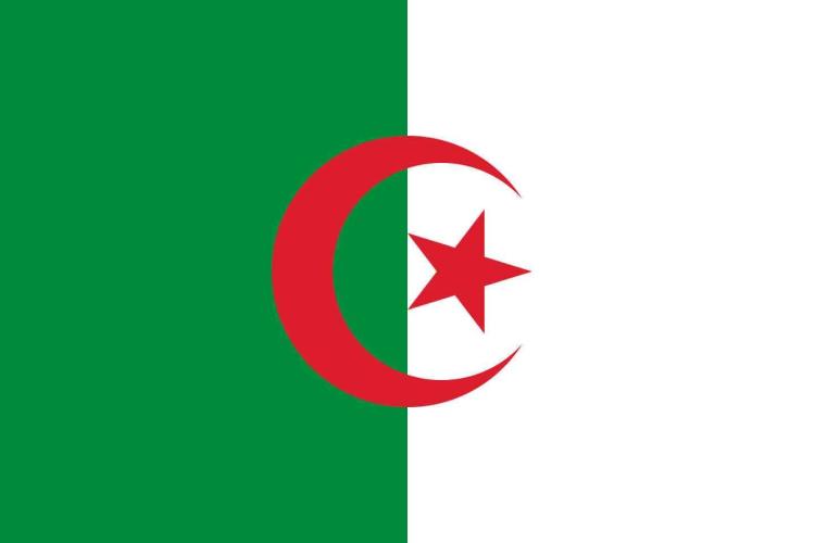 Fahne Algerien