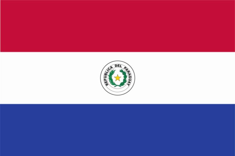 Fahne Paraguay