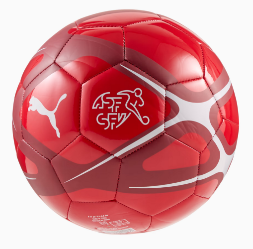 Schweiz Fanball - 2025