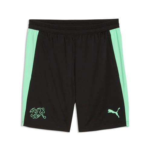 Einzelstück Puma SFV Training Shorts w pockets - puma black