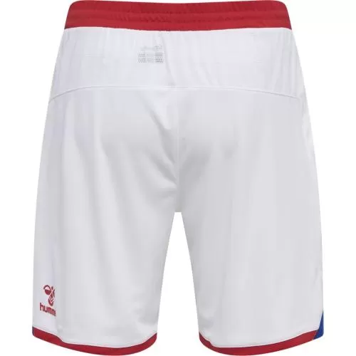 Denmark EC Shorts - 2020-21