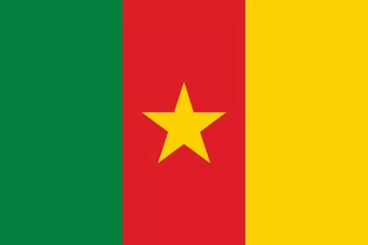Fahne Kamerun