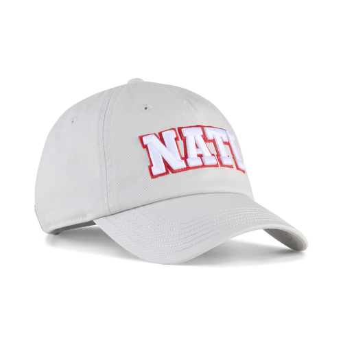 Puma SFV CULTURE Cap - cool light gray